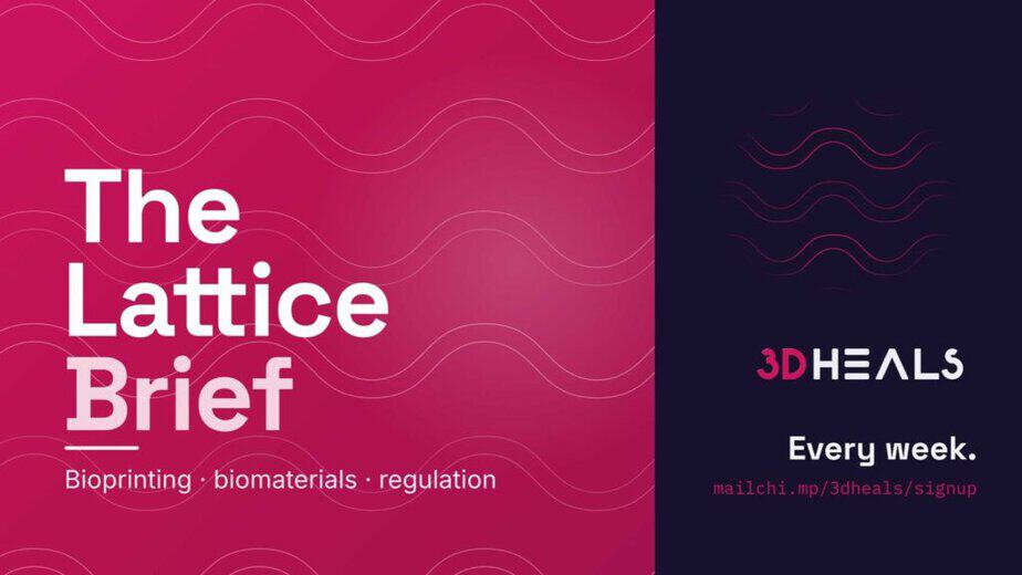 lattice brief